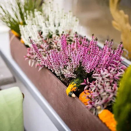 Отель Kueffner Pfedelbach