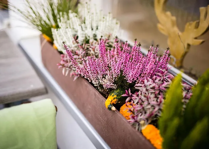 Hotel Kueffner Pfedelbach